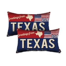 Doraloko Texas Throw Pillow Cover 12x20 Set of 2, Texas Decor Gift Souvenir, American Flag License Plate Lumbar Pillowcase, Greetings from The Lone Star State(TX, USA) - Cushion Case Sham, No Inserts