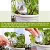 TIYETTIYI 2-Count Small Watering Globes, Plant Watering Globes Imitation Glass