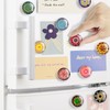FINDMAG 12 Pcs Cute Fridge Magnets, Strong Refrigerator Magnets, Glass