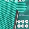 2 Pack 250/250S Air Purifier Replacement Filter Compatible with Coway