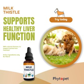 Phytopet Milk Thistle Tincture | 100ml | Liver & Gallbladder Support | Silymarin Enriched | Detox & Cell Growth