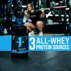 Rule 1 Proteins Rule One Proteins Whey Blend - Mint