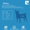 RC Pets Patterned Step in Cirque Harness | Breathable Mesh