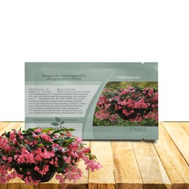 Outsidepride Pink Dragon Wing Begonia Seeds for Planting - 10 Pcs Perennial Flower Seeds with Large Blooms, Arching & Pendulous Growth Habit, for Containers, Hanging Baskets, or Landscape Plantings