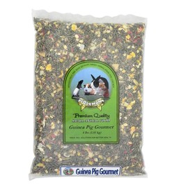 Volkman Small Animal Guinea Pig Gourmet 4lb