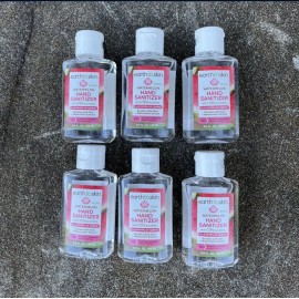 Earth To Skin Hand Sanitizer 2oz watermelon Pocket Travel Size Lot Of  6 New