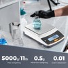 Bonvoisin Lab Scale - 5000g x 0.01g, Rechargeable Digital Scale