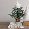 Creative Co-Op Handmade Wool Felt Star Tree Topper with Sequins,