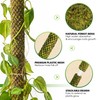 DUSPRO Stackable Mesh Moss Pole for Plants Monstera Potted Plant