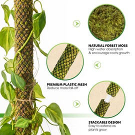 DUSPRO Stackable Mesh Moss Pole for Plants Monstera Potted Plant Stakes for Indoor Plants Extendable Plant Pole Moss Sticks for Plants Climbing Vine Supporting Monstera Trellis 4Pack 71''