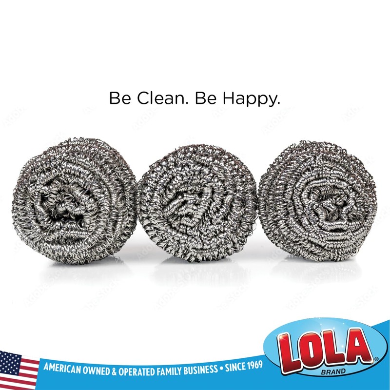 Stainless Steel Wool Scourer -Jumbo Sized- 12 Pack, 35 Grams,