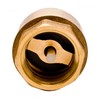 DuraChoice 1" Brass In-Line Spring Check Valve - 200WOG