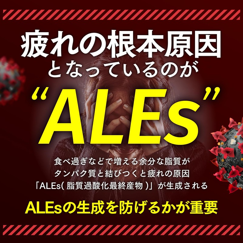 【指定医薬部外品】フィジフル 疲労回復 サプリ サプリメント 疲れ 改善 体力維持 身体抵抗力 集中力 二日酔い