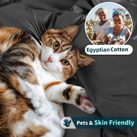 LBRO2M 100% Cotton 1200 Thread Count Queen Size Sheets Set,16 inches Deep Pocket,Bed Sheet 4 Piece Sets (Black, Queen)