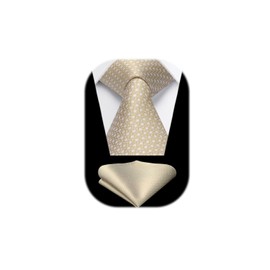 HISDERN Men's Champagne Ties Wedding Tie Handkerchief Formal Business Necktie & Pocket Square Set