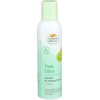 Citrus Magic Odor Eliminating Air Freshener Spray, Fresh Citrus, 6-Ounce,
