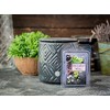 The Candle Daddy Muscadine Wine - Southern Grape Wine Scented