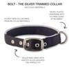 Pet Passion Adjustable Silver Trimmed Dog Collar for Pets Small,