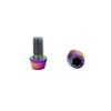 RISON-Titanium 5 pieces titanium bicycle stem screws, M6 x 1.0