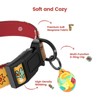 Pawview Puppy Collar and Lead sets with Dog ID Tag