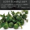 濃縮じゃばら果皮粉末ジュース120g （約30回分）