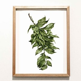 Bay Leaf Herbs Print 8x10 inches Vegetable Watercolor Housewarming Decor Rustic Farmhouse Natural Kitchen home decor illustration drawing food print still life art 8 x 10 inches Unframed