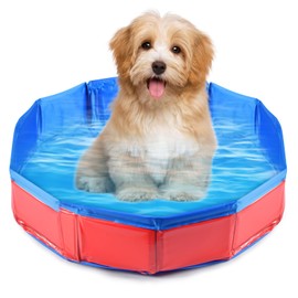 Foldable Dog Pool, Dog Pool Swimming Pool for Dogs and Cats, PVC Non-Slip Swimming Pool, Portable Paddling Pool for Pets, Dogs, Summer Pool, for Small Pets, Dogs, Cats