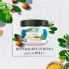 Máscarilla Capilar Intensiva Herbal Essences Bío:renew 300ml