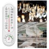 Termómetro De Invernadero, Higrómetro, Medidor De Jardín