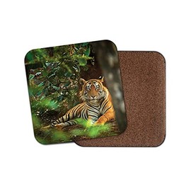 1 x Beautiful Tiger Coaster - Big Cat Lion Animal Jungle Wild Fun #8842