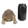 Auspicious Fortune Charm Lifelike Green Brown Turtle Tortoise Small Figurine