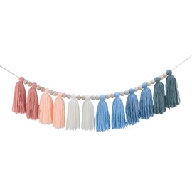 DrCor Coastal Tassel Garland Pink Green Wall Hanging for Nursery Classroom Decor, Baby Shower Backdrop, Birthday Party Decoration, Gender Reveal Photography Props