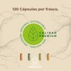 Ácido Alfa Lipoico Super Premium | Con L-Carnitina y Biotina
