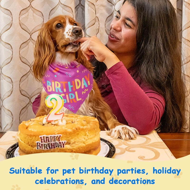 Pack of 2 Pet Triangular Scarf, Birthday Printed Triangular Scarf,