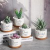 Fumete 12 Pcs Bible Verse Succulent Pots with Tray Drainage,