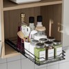 ZDDLOINP Extendable Spice Rack for Cupboard, Spice Rack, Black, Spice