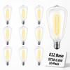 Hobbynors 10Pack ST38 LED Outdoor String Light Replacement Bulbs, Shatterproof