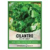 Cilantro Seeds for Planting Heirloom Non-GMO Herb Coriander Plant Seeds