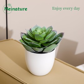 Meinature Lifelike Artificial Succulent Plants in White Large Basin - 5.5 Inch Diameter Large Flowers, Green & White, Ideal for Home and Office Table Decoration