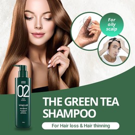 AMOS PROFESSIONAL The Green Tea Shampoo Refresh [For Oily Scalp] 17.6oz (500g) | Anti-Hair Loss Korean Hair Growth Shampoo for Cleanse Excess Sebum