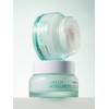 Milk Touch Seongyang Songak Green Hyaluronic 6 Second Moisture Cream