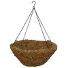 Topiary Art Works 20" (Inside Diameter) Sphagnum Moss Hanging Basket