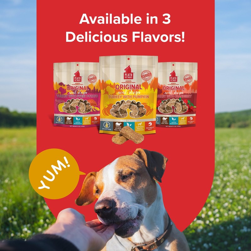 PLATO Original Real Strips Turkey & Pumpkin 18oz, Natural (1459)