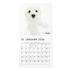 THE DOG 2026 Wall Calendar, Mini Size, Maltese