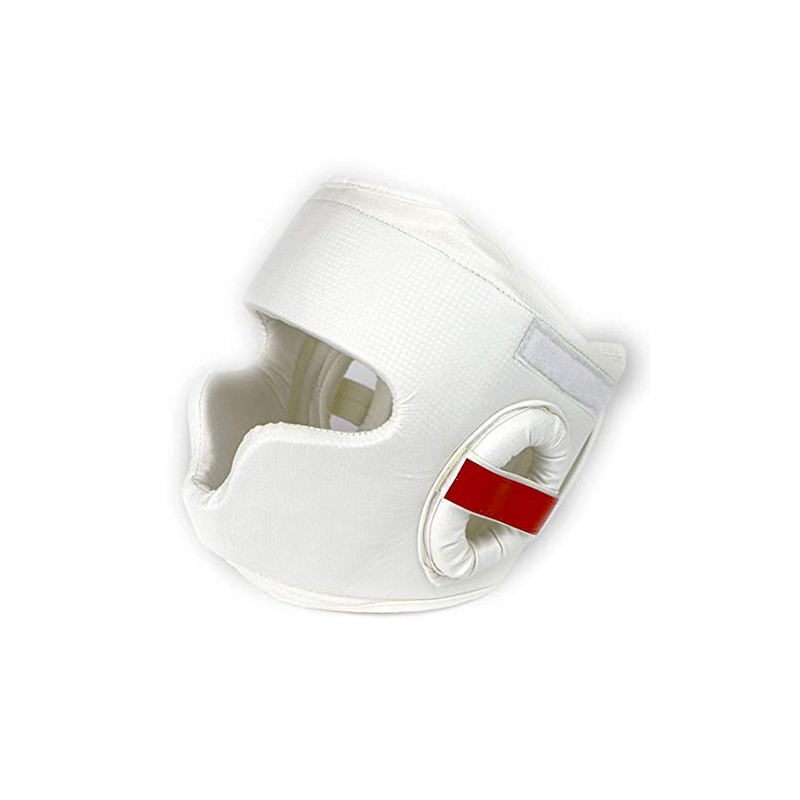 ISAMI Wide View Head Guard II TT-45 (S)