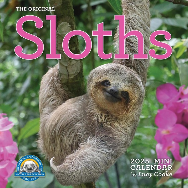 Original Sloths Mini Wall Calendar 2025: Celebrate Life in the