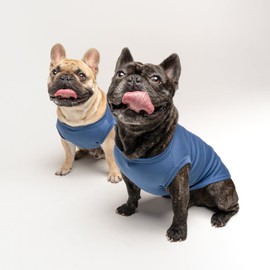 Dad's Favorite Father's Day Dog Tee Shirt | Sleeveless | Sizes for Puppies, Toys and Large Breeds (Royal Blue, Medium 757)