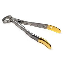 IMEDS Dental Extracting Forceps #859 with Serrated Angled Parrot Shaped Beaks Tooth Extraction German Stainless Steel Tools Comes in Gold Handle