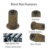 STFRBTH 110PCS 10#-24 UNC Rivet Nuts, Carbon Steel Flat Head