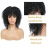 Fallsea Black Afro Curly Wigs For Black Women Short Kinky